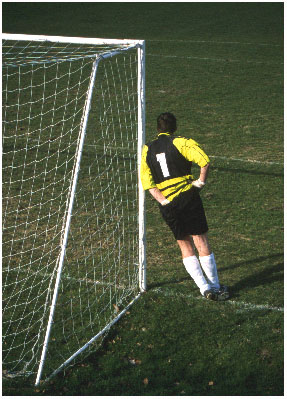 Itching to Get Involved