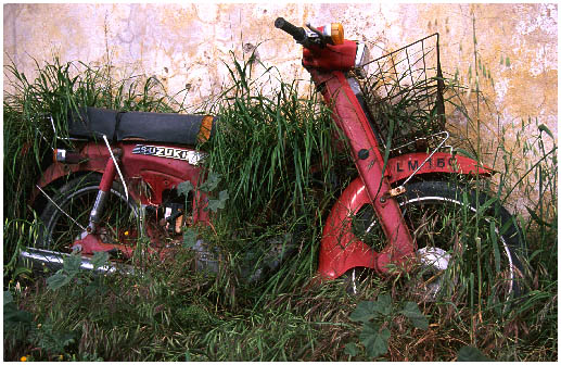 Abandoned Bike