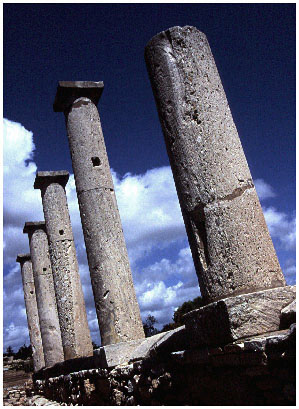Roman Pillars